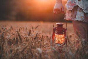 guilherme-stecanella-370401-unsplash